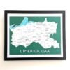 Framed map of Limerick GAA on a green background, featuring white county outlines and names of towns. Bold text below reads "Limerick GAA".