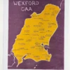 County Wexford GAA map, 8in x 10in print - Image 5