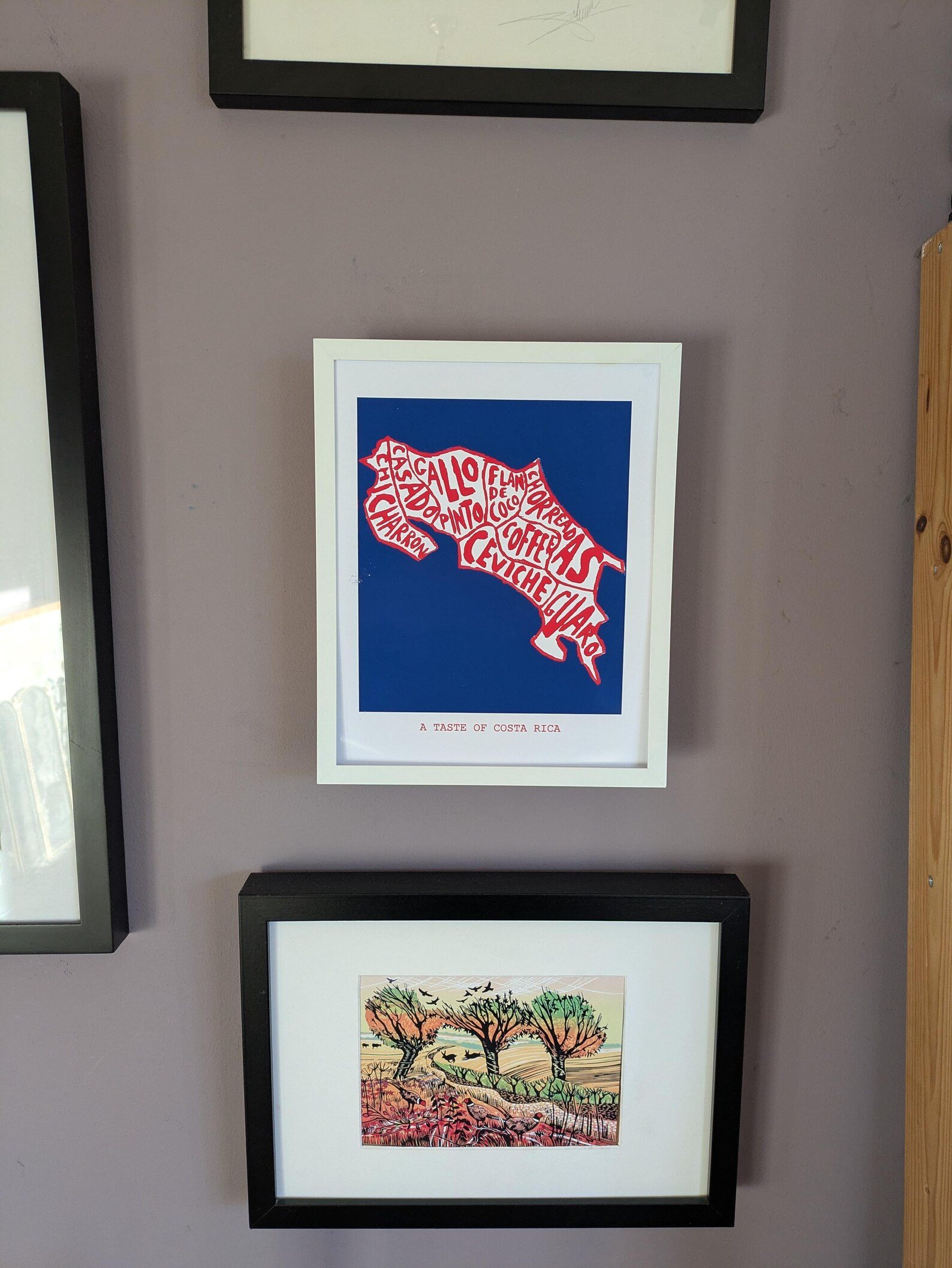 Costa Rican food poster - Image 3