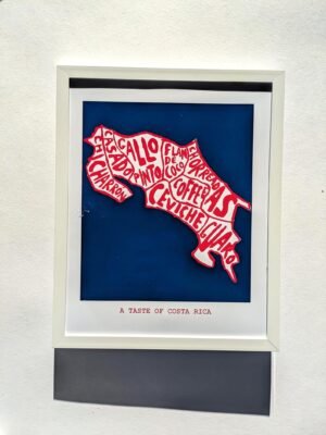 Costa Rican food poster