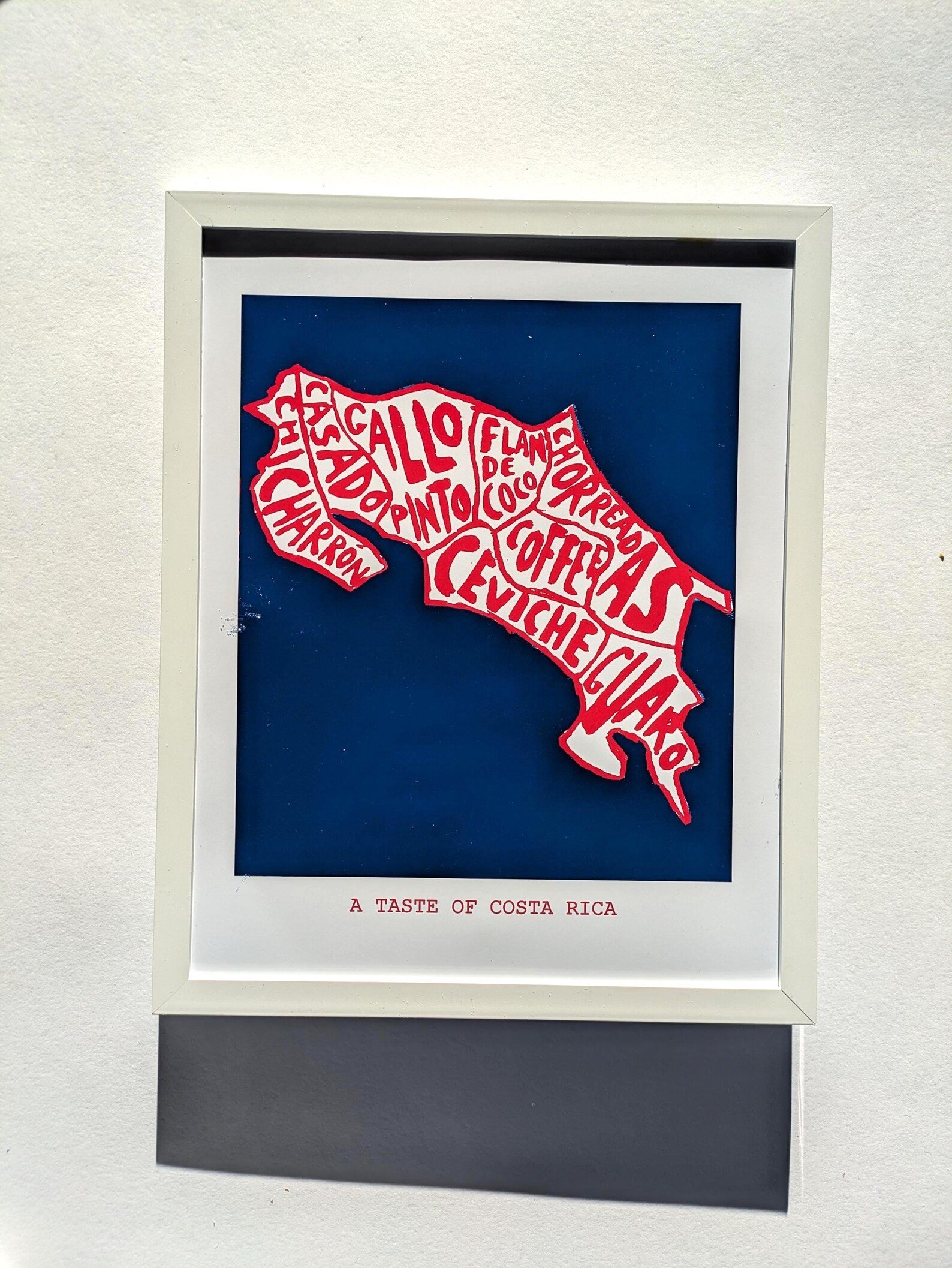 Costa Rican food poster