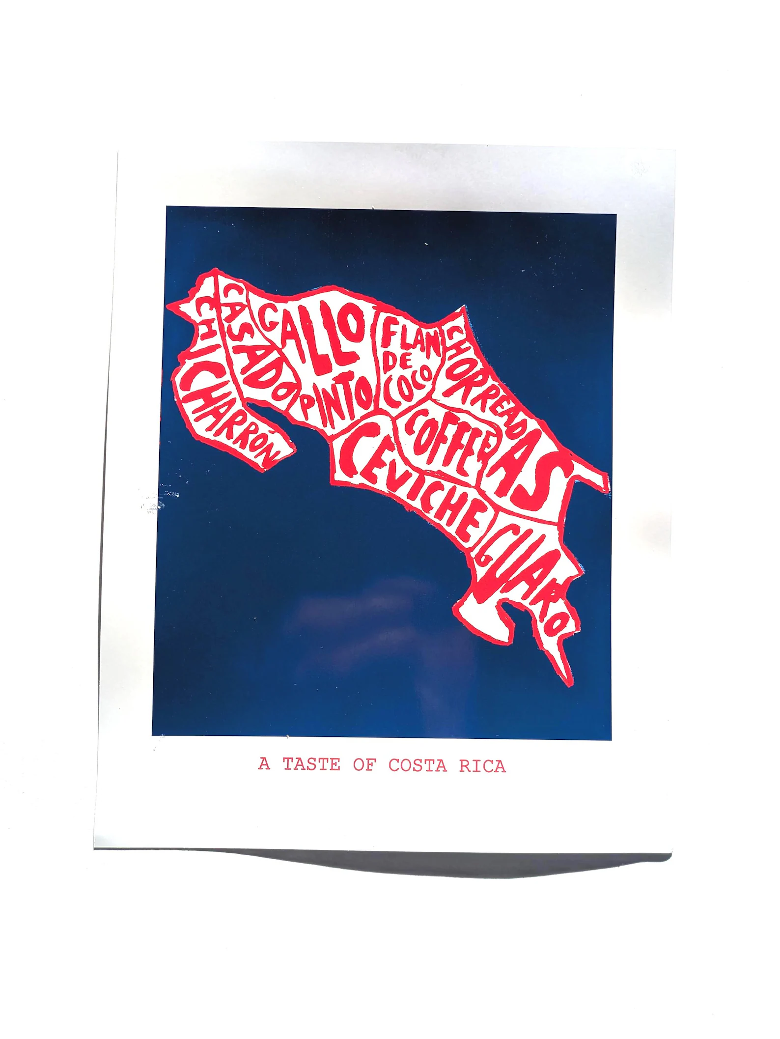 Costa Rican food poster - Image 5
