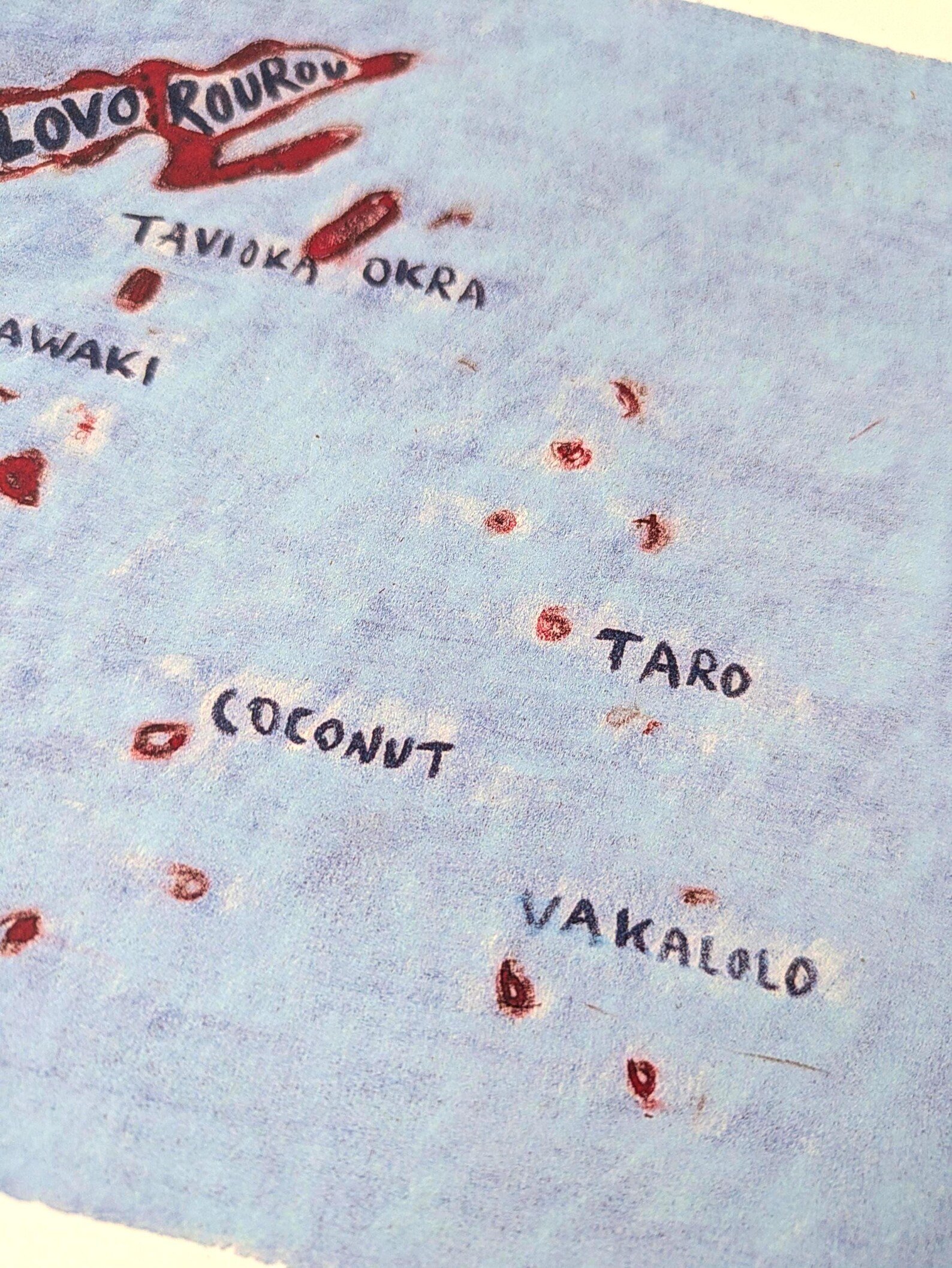 Fiji map of food, 10 x 8 inch print - Image 3